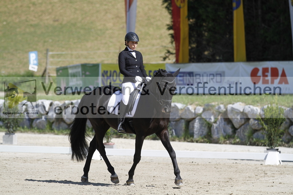 _MG_6689 | equestrian-live-com