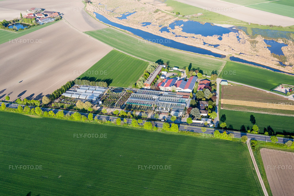 Luftbild: Glasdach- Flächen in den Gewächshausreihen zur Blumenzucht der Gärtnerei Tils im Ortsteil Rheindürkheim in Worms im Bundesland Rheinland-Pfalz in Deutschland. Foto: IMG_077613.jpg vom 23.04.2015 durch Werner Riehm/FLY-FOTO.de