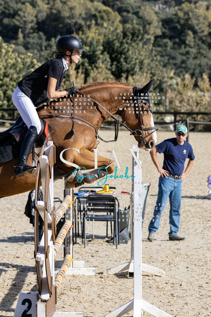 IMG_0688 | s-jay-photography - Realisiert mit Pictrs.com