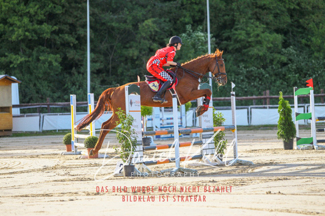DKP45139 | Turnierfotos kaufen im Webshop von Daniel Kuhl Photography – entdecke professionelle Reitsportfotos aus Turnieren & Events. Hochwertige Turnierbilder online bestellen & sichern. Jetzt Fotos von Reitsportturnieren kaufen!