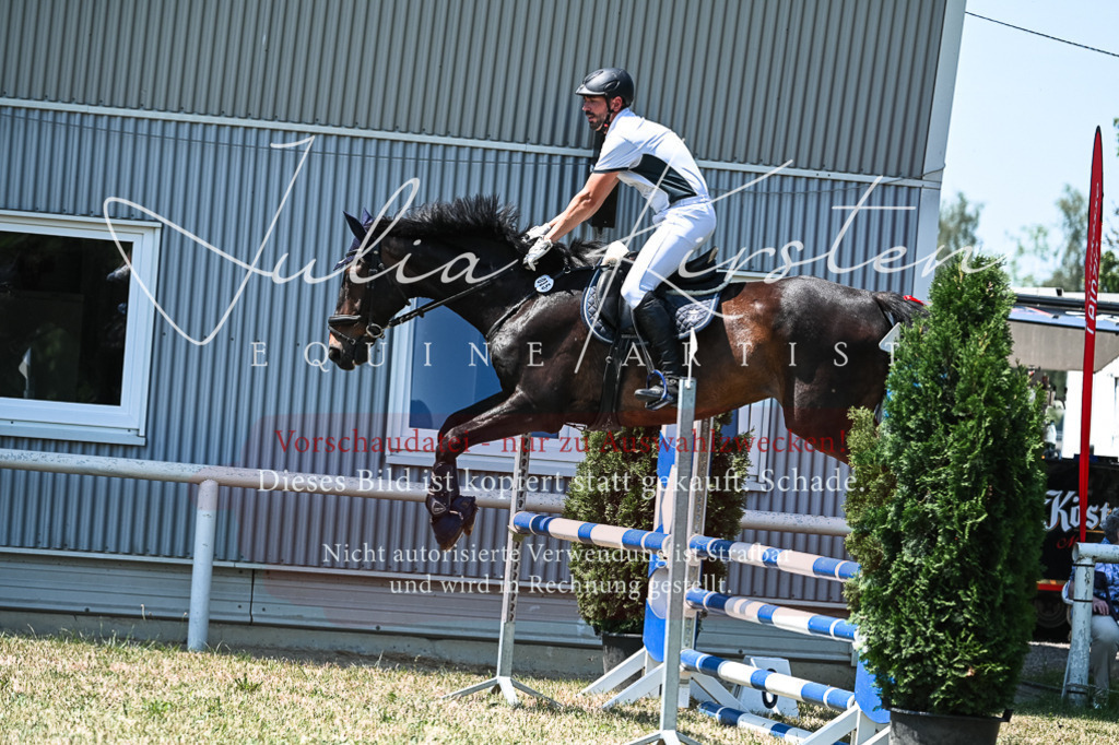 DSC_0336 | Pferde- und Turnierfotografie in Westsachsen. Pferdeportraits, Auftragszeichnungen und intuitive Kunst.