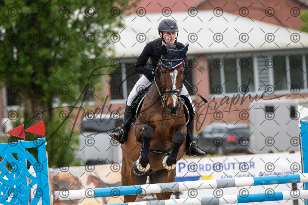 KPT_0110 | andre_photographic