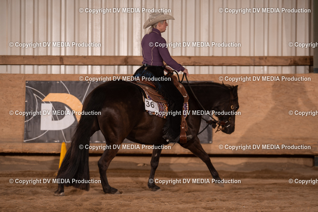 Unbenannt-4 | dv-media-shop - Realisiert mit Pictrs.com