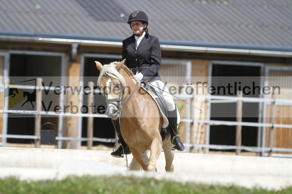 _MG_0927 | equestrian-live-com