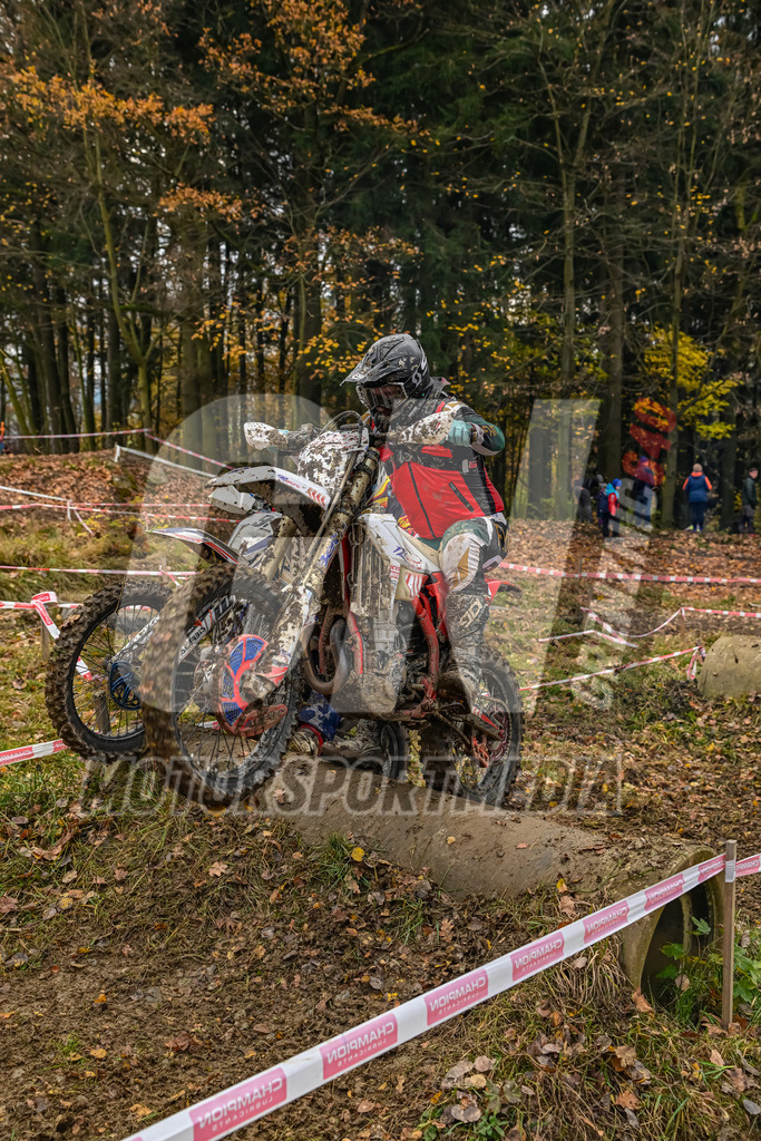 NZ8_6508 | grenznic640