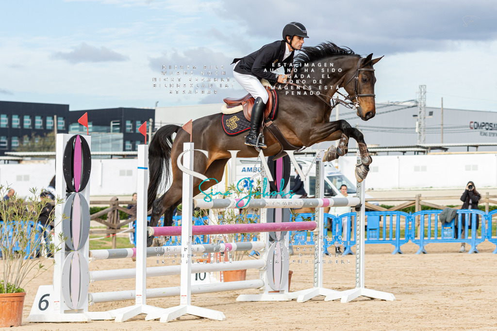 IMG_2436 | s-jay-photography - Realisiert mit Pictrs.com