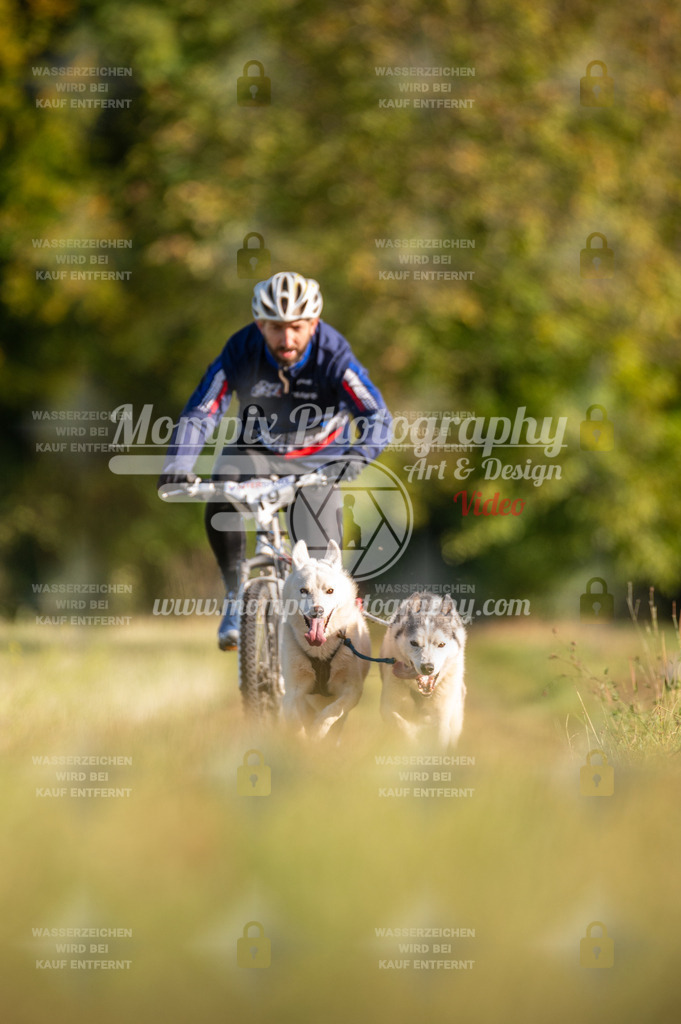 CDLBDB_15_10_2023_Dimanche-308 | mompixphotography