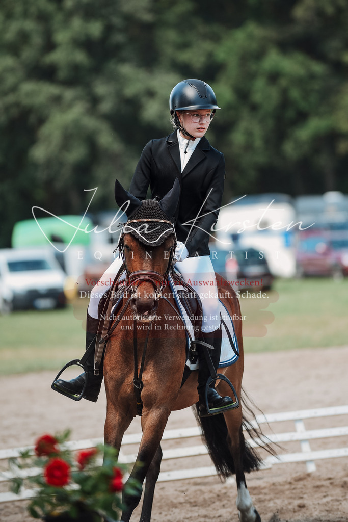 DSC_2497 | Pferde- und Turnierfotografie in Westsachsen. Pferdeportraits, Auftragszeichnungen und intuitive Kunst.