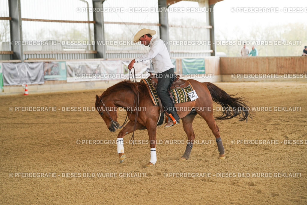 DSC07653 | Pferdegrafie