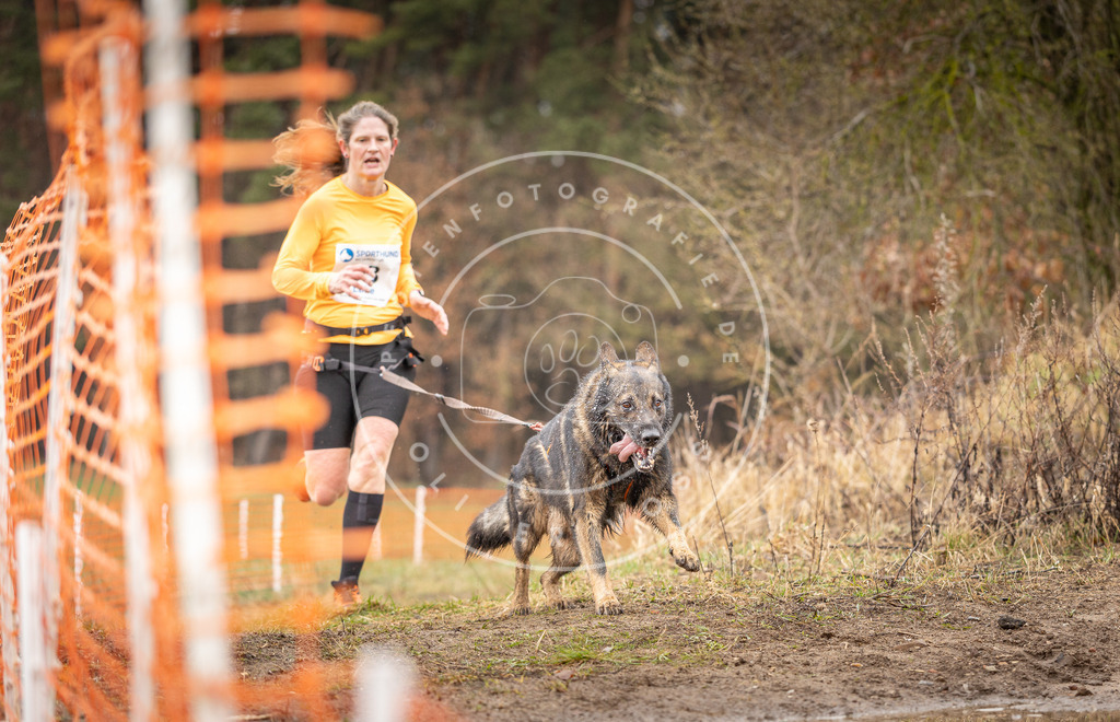 DV3A0466 | Hundefotografie, Tierfotograf, Pfotenfotografie, Fotoshooting Hund, Hunde Portrait, Hundesport, Hundeportraits, Heideshooting, Hunde, Sportfotograf, Hundefotograf, Turnierhundsport, THS,  - Realisiert mit Pictrs.com