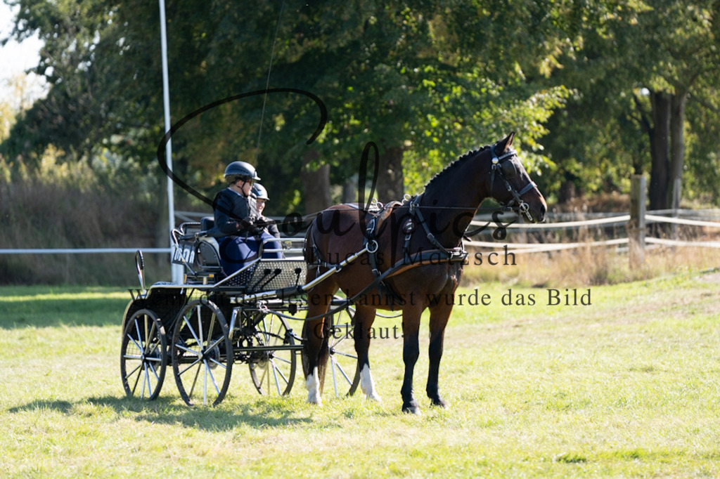 A7V04350 | Pferdefotograf