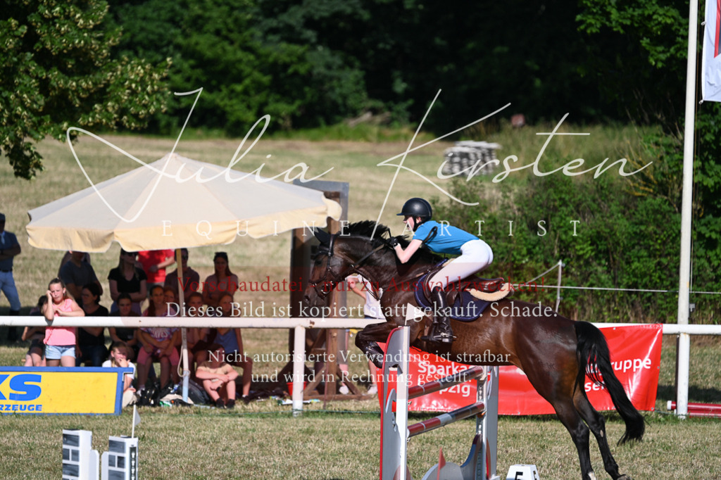 DSC_2369 | Pferde- und Turnierfotografie in Westsachsen. Pferdeportraits, Auftragszeichnungen und intuitive Kunst.