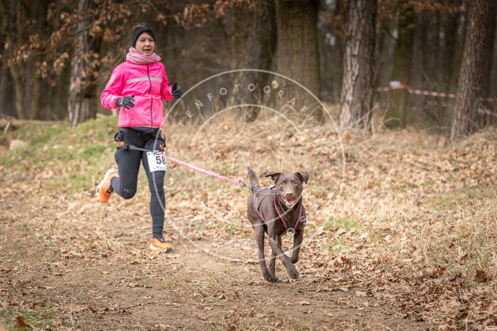 Pfotenfotografie_DV3A2067 | Hundefotografie, Tierfotograf, Pfotenfotografie, Fotoshooting Hund, Hunde Portrait, Hundesport, Hundeportraits, Heideshooting, Hunde, Sportfotograf, Hundefotograf, Turnierhundsport, THS,  - Realisiert mit Pictrs.com