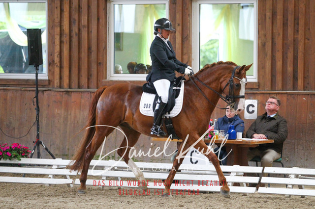 DKP44907 | Turniersportfotografie; Pferdefotografie; Dressurfotografie