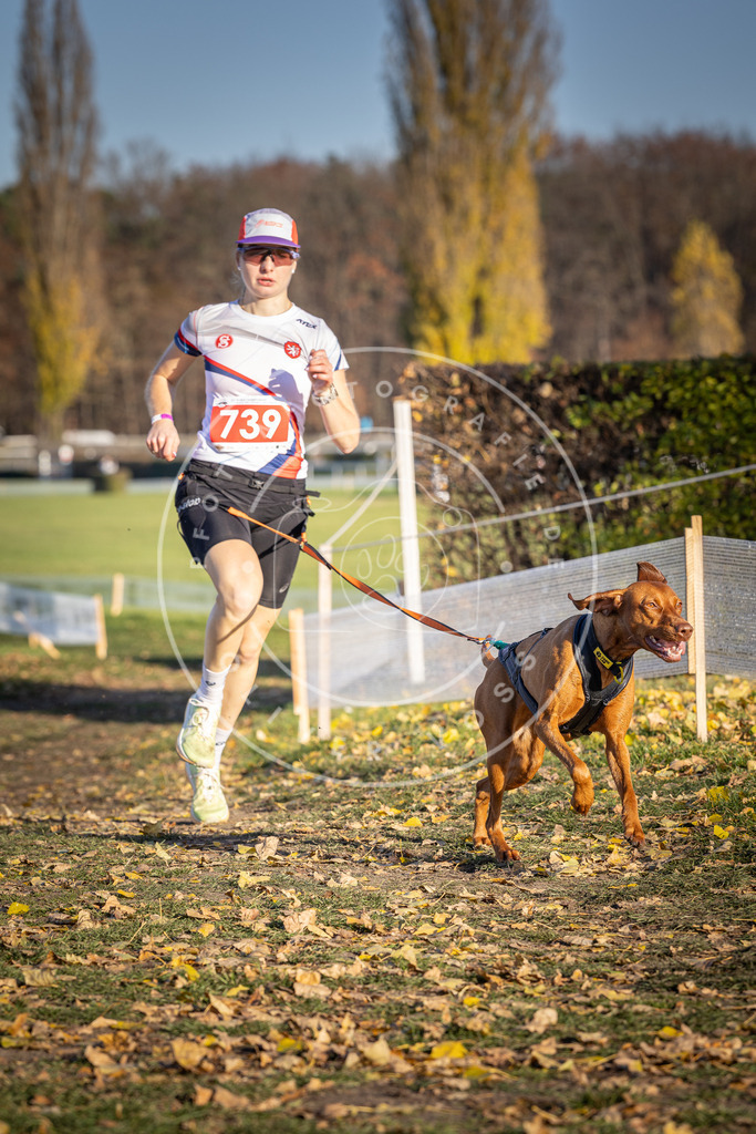 CaniXpix_DV3A2210 | Hundefotografie, Tierfotograf, Pfotenfotografie, Fotoshooting Hund, Hunde Portrait, Hundesport, Hundeportraits, Heideshooting, Hunde, Sportfotograf, Hundefotograf, Turnierhundsport, THS,  - Realisiert mit Pictrs.com