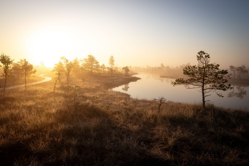 IMG_1378-Bearbeitet-Bearbeitet-Bearbeitet | christophschaarschmidt - Realisiert mit Pictrs.com