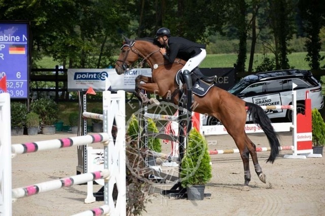 2B4A1291 | pixelfaenger - Realisiert mit Pictrs.com