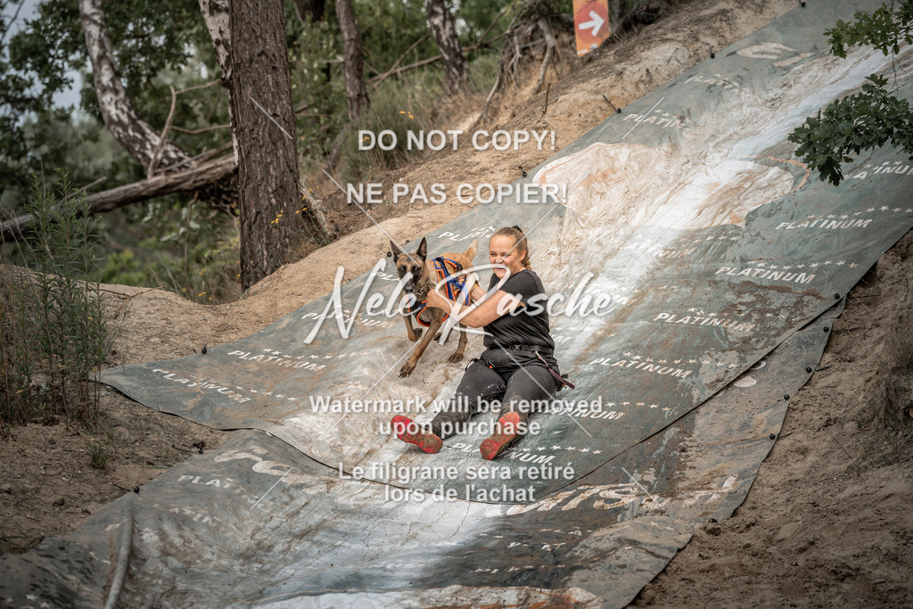 nelerasche_sa1300-1345_431 | nelerasche