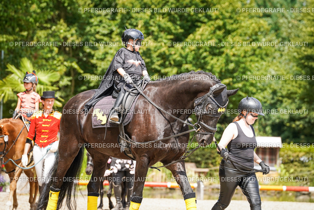 DSC02980 | Pferdegrafie