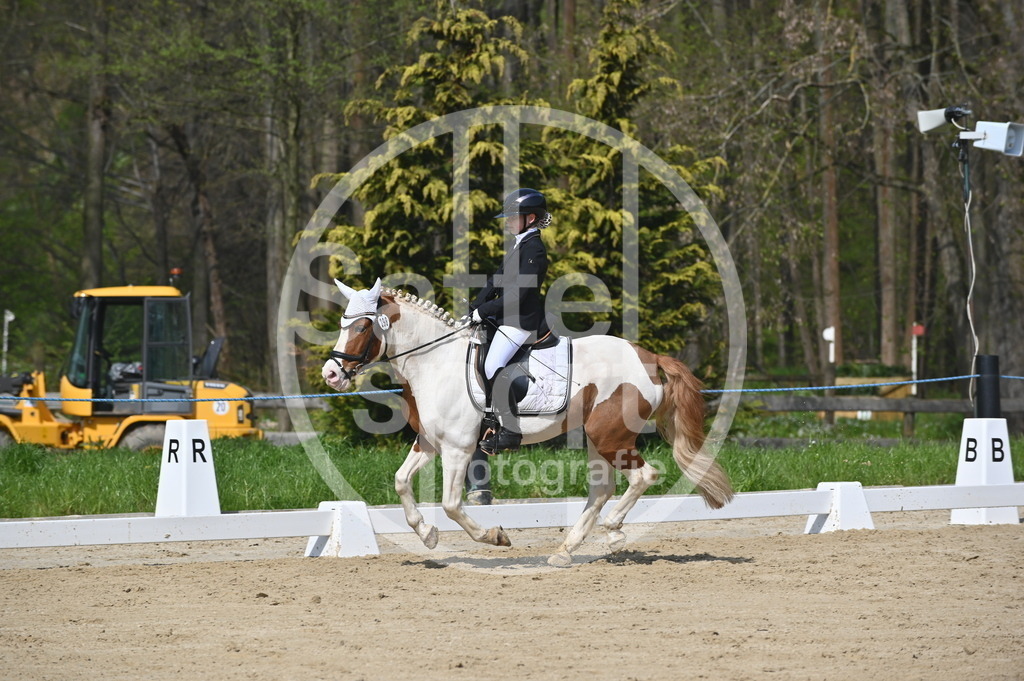 DSC_1016 | sattelsport - Realisiert mit Pictrs.com