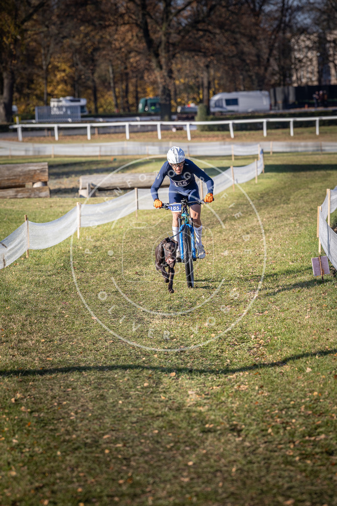 CaniXpix_DV3A2266 | Hundefotografie, Tierfotograf, Pfotenfotografie, Fotoshooting Hund, Hunde Portrait, Hundesport, Hundeportraits, Heideshooting, Hunde, Sportfotograf, Hundefotograf, Turnierhundsport, THS,  - Realisiert mit Pictrs.com
