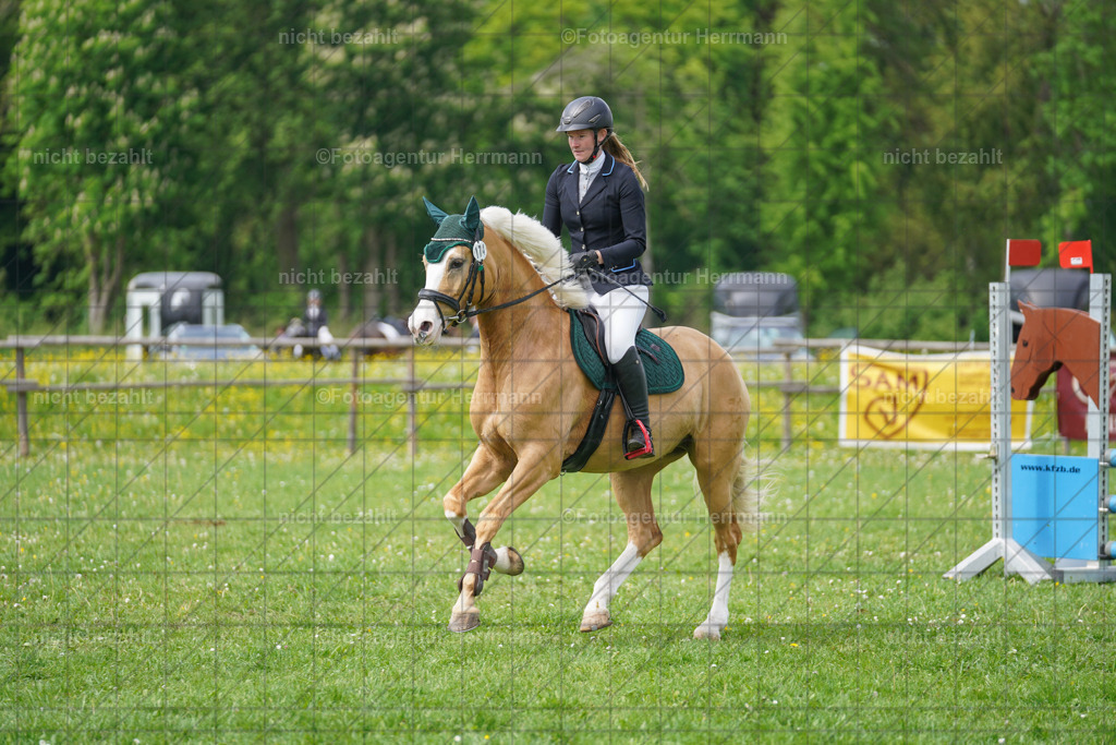 20240509-FAH02767 | Turnierbilder der Turnierfotografen Bayern, Pferdesport Fotografie, Reitsportbilder, Turnier Landberg am Lech, Turnierbilder bayern, Fotoagentur Herrmann