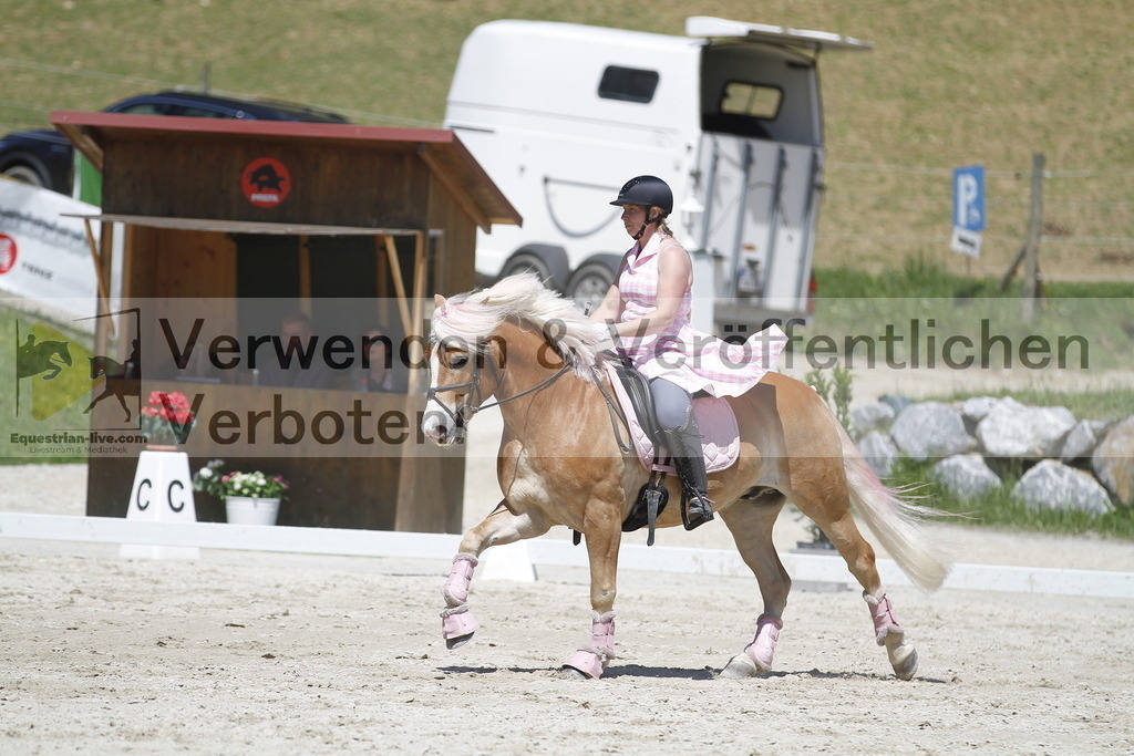 _MG_7608 | equestrian-live-com