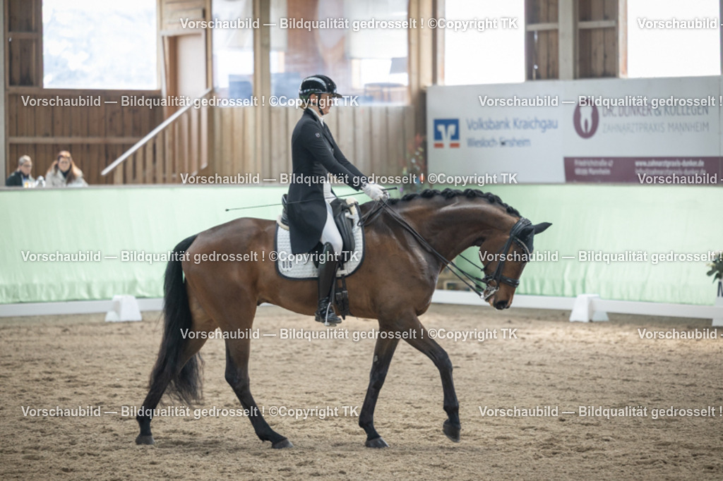 _D5A4831 | Emotionale Pferde- & People-Fotografie rund um Heidelberg, Leimen & Umgebung. Natürliche Fotos von Pferd, Mensch & Familie. Jetzt Termin sichern!