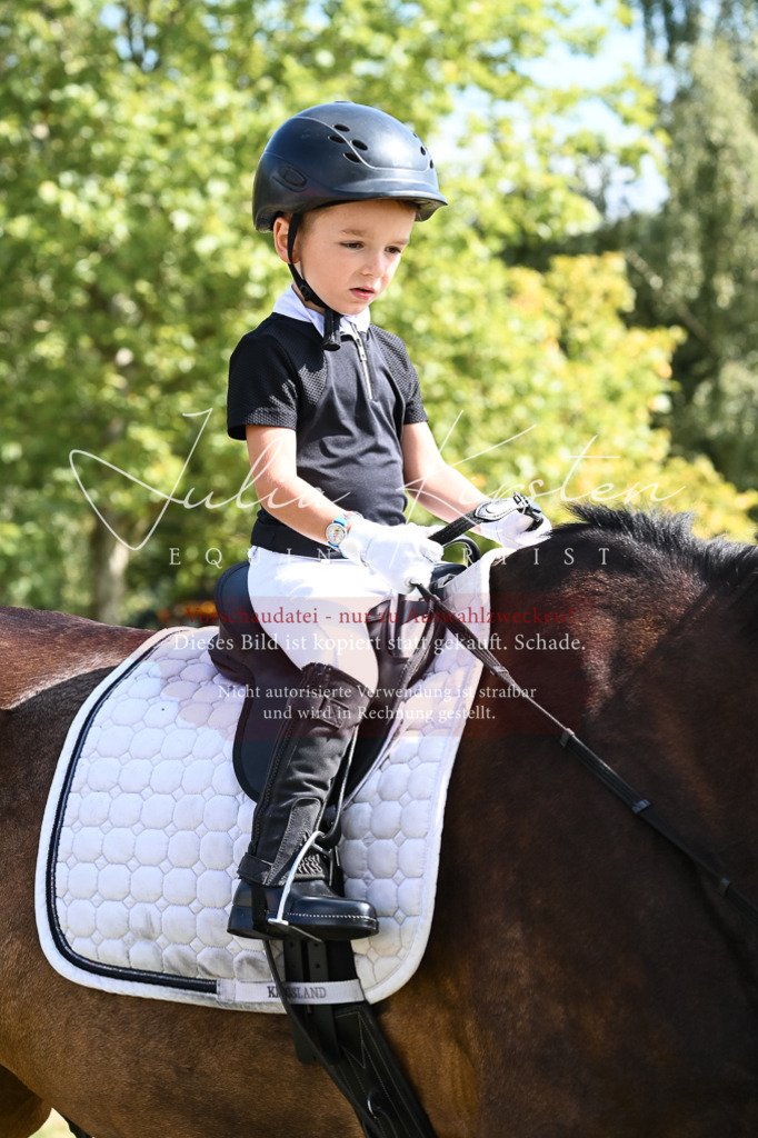 DSC_6870 | Pferde- und Turnierfotografie in Westsachsen. Pferdeportraits, Auftragszeichnungen und intuitive Kunst.