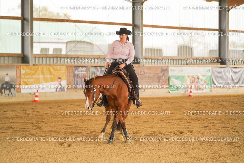 DSC00154 | Pferdegrafie