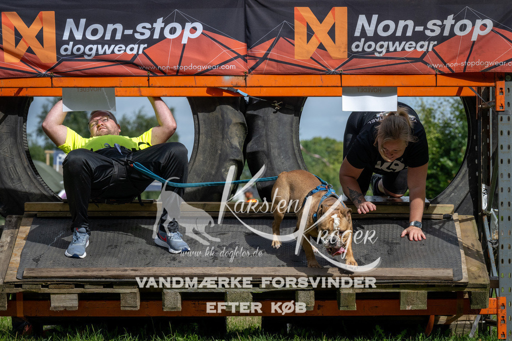 1132_ZZ92383 | kk-dogfotos