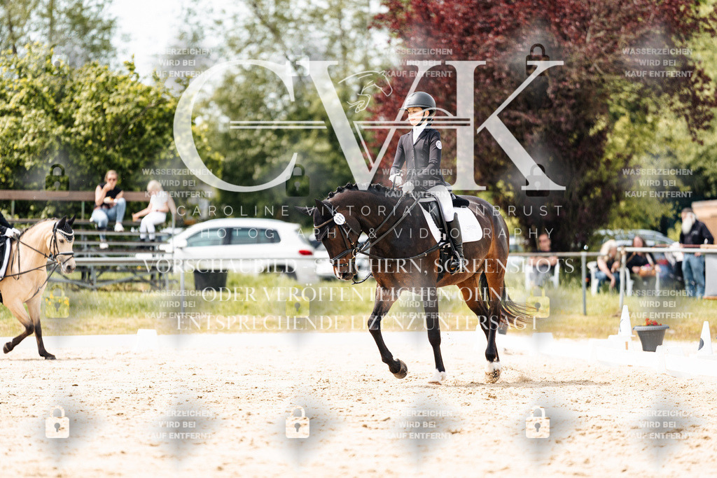 CK902451 | Turnierfotografie Pferdefotografie Trier Rheinland-Pfalz Pferdesport Reitsport Tierfotografie Sportfotografie Pferdevideo Pferdevideografie Equestrianvideography equestrianphotography  - Realisiert mit Pictrs.com