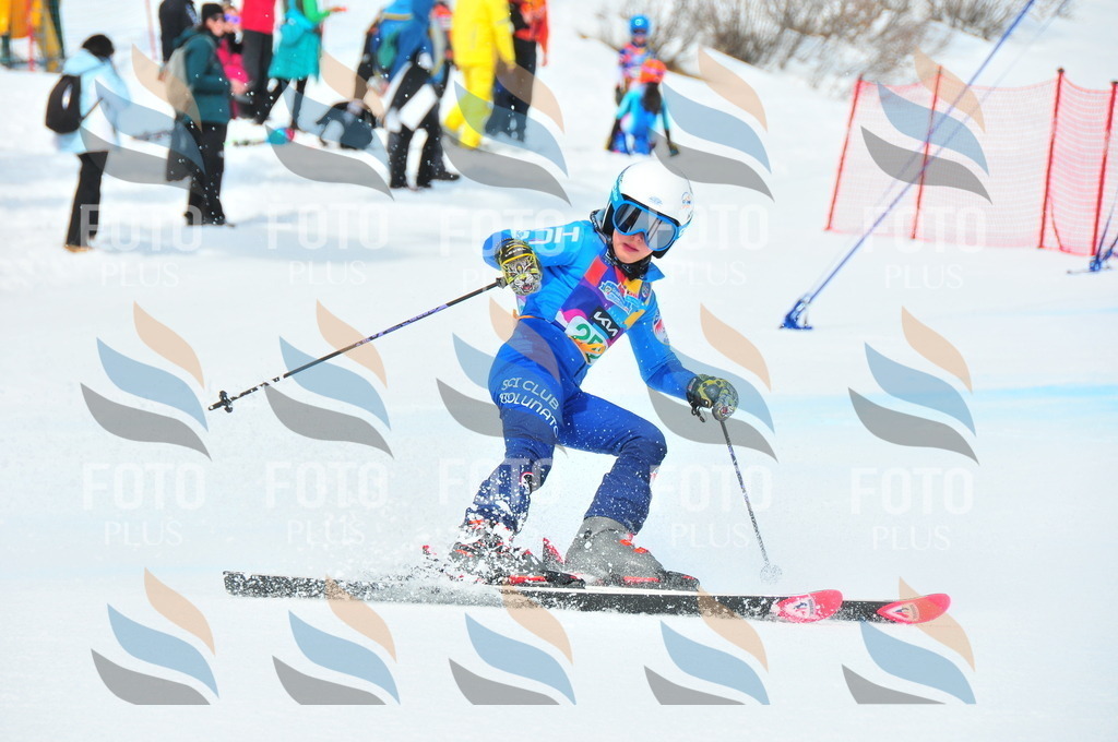 DSC_2340 | holidayphoto