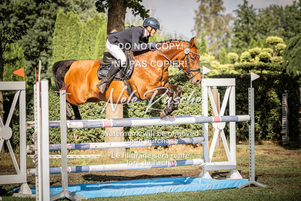 nelerasche_SprM_120Ede_76 | nelerasche
