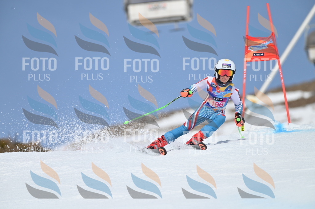 BGV_0895 | holidayphoto