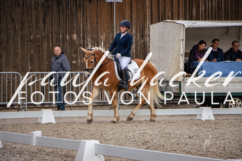 IMG_6088 | Erleben Sie dynamische Sport- und emotionale Tierfotografie in Süddeutschland mit Fotos von Paula. Spezialisiert auf Pferde- und Hundefotografie sowie Sportevents. Kontaktieren Sie mich für einzigartige und ausdrucksstarke Bilder Ihrer besonderen Momente. - Realisiert mit Pictrs.com