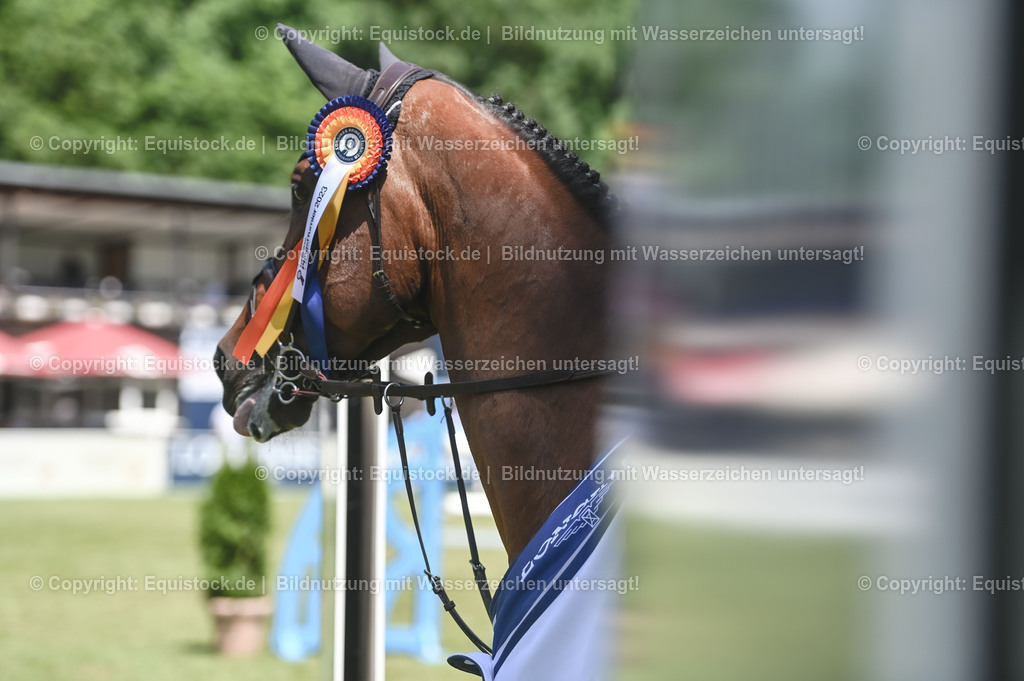 20230529_18_CSI4_Obermayr_0162 | equistock