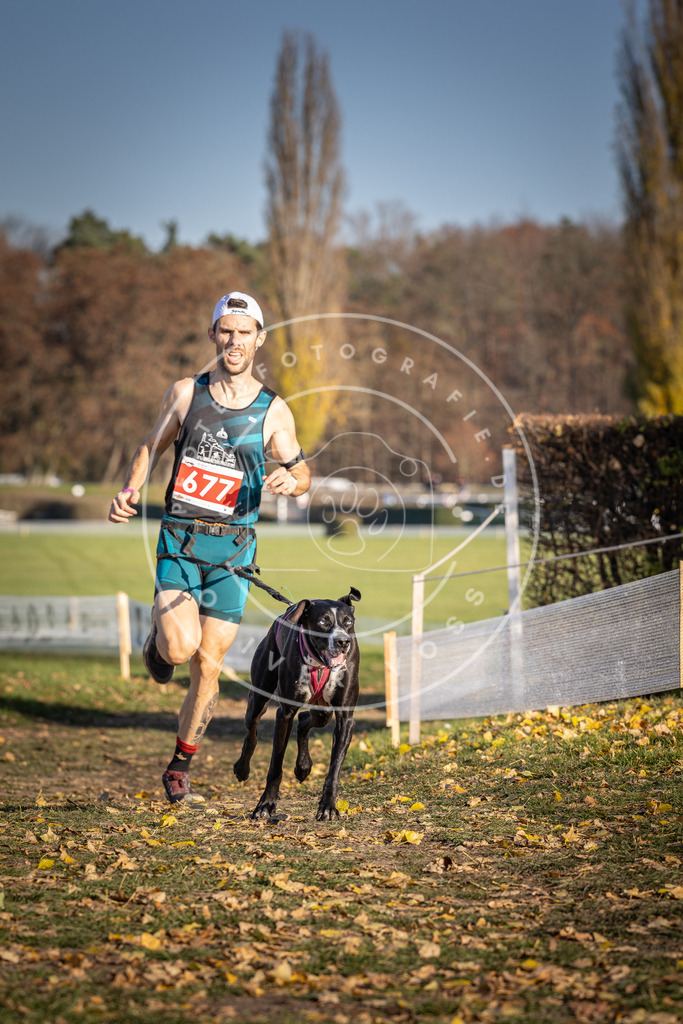 CaniXpix_DV3A0985 | Hundefotografie, Tierfotograf, Pfotenfotografie, Fotoshooting Hund, Hunde Portrait, Hundesport, Hundeportraits, Heideshooting, Hunde, Sportfotograf, Hundefotograf, Turnierhundsport, THS,  - Realisiert mit Pictrs.com