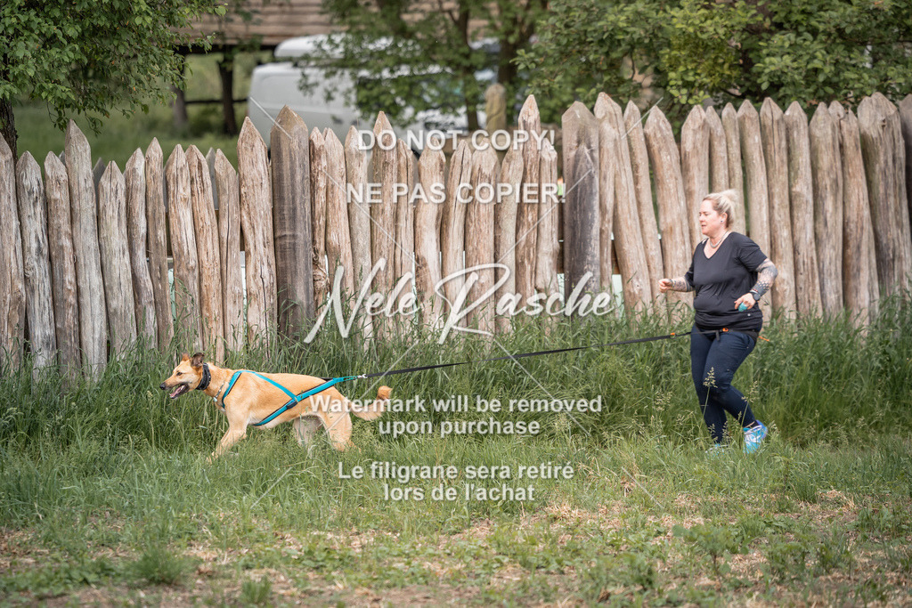 nelerasche_So-funtrail_10 | nelerasche