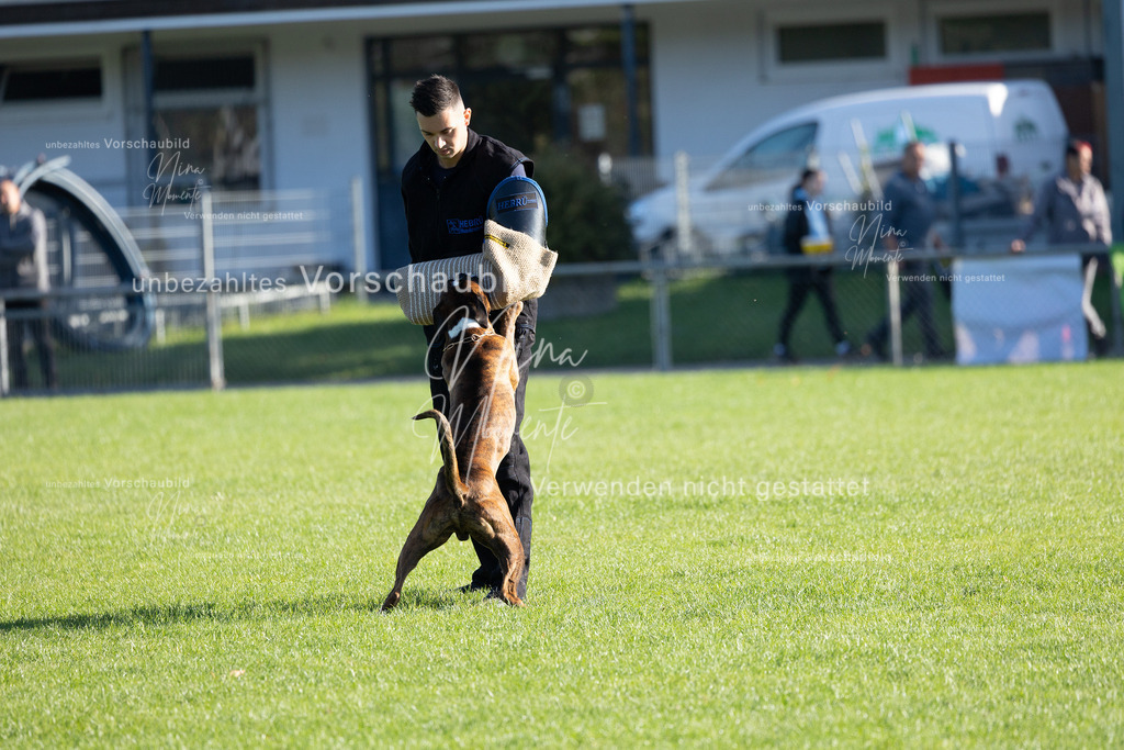 _16A5019 | Einzigartige Fotos von Hunden & Menschen –Actionfotos, Portraits, Vereinsaufnahmen & Paarshootings – authentisch, lebendig & mit Herz.