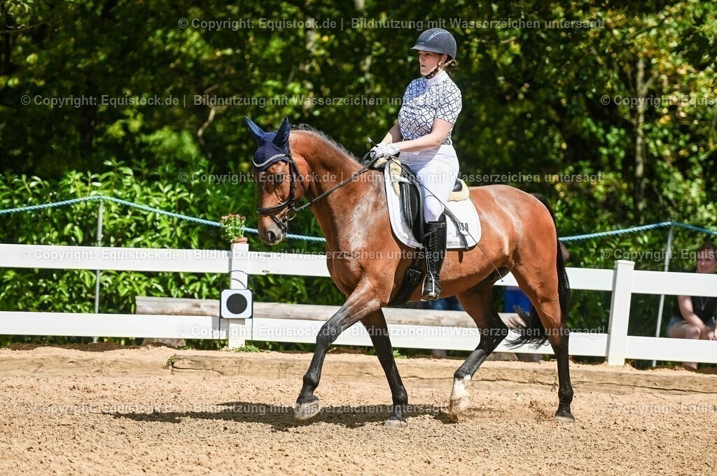 20230715_02_Dressurreiterprüfung Kl.L_0142 | equistock