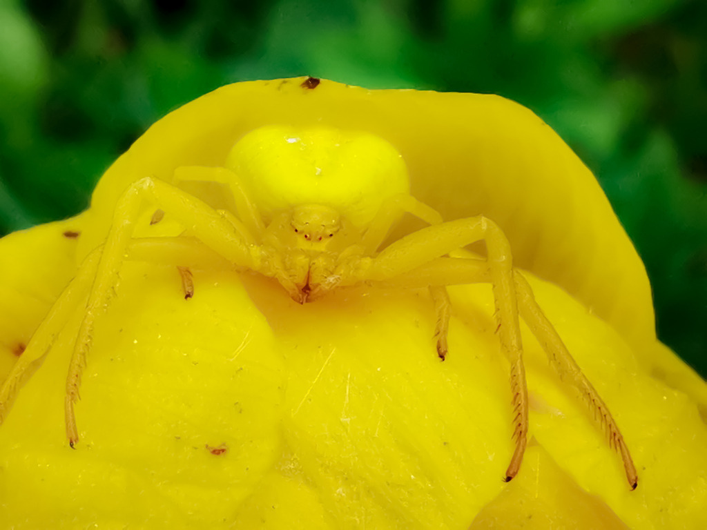 PSX_20230529_230344 | mtkfoto_ - Realisiert mit Pictrs.com