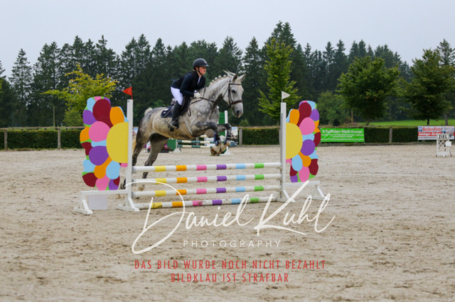 IMG_4998 | Turniersportfotografie; Pferdefotografie; Dressurfotografie