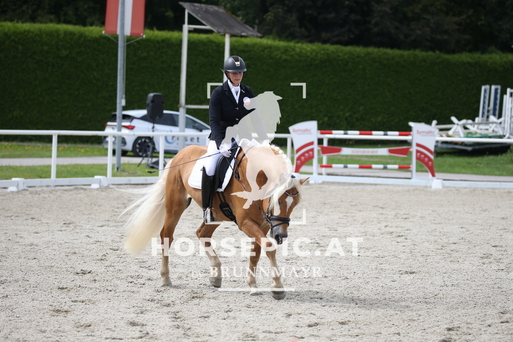 DL2Q3423 | Willkommen bei Brunnmayr - Design & Fotografie – Ihrem Spezialisten für Reitturniere und Pferdeveranstaltungen in Oberösterreich, Salzburg und Bayern! Seit über 17 Jahren sind wir leidenschaftlich dabei.