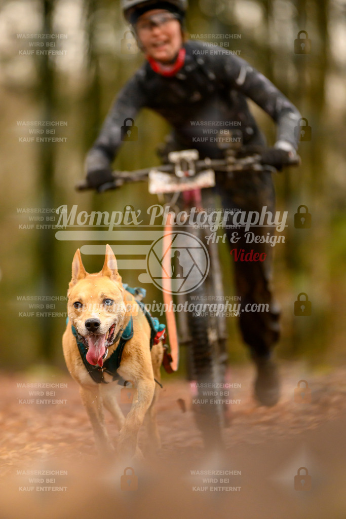 MompixPhotography_Habay2024_SA_Scooter-29 | PayLife