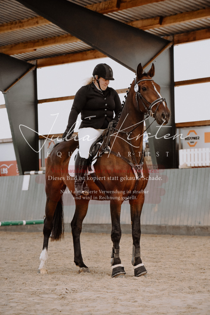 DSC_7470 | Pferde- und Turnierfotografie in Westsachsen. Pferdeportraits, Auftragszeichnungen und intuitive Kunst.