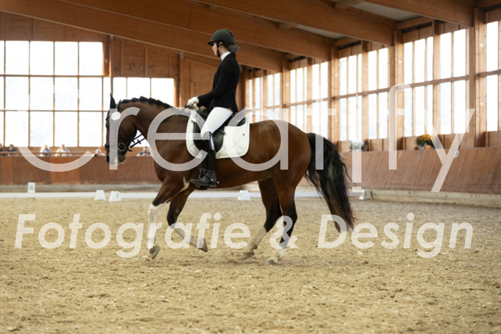 IMG_6174 | Creatify Fotografie