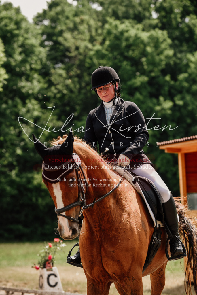 DSC_0659 | Pferde- und Turnierfotografie in Westsachsen. Pferdeportraits, Auftragszeichnungen und intuitive Kunst.