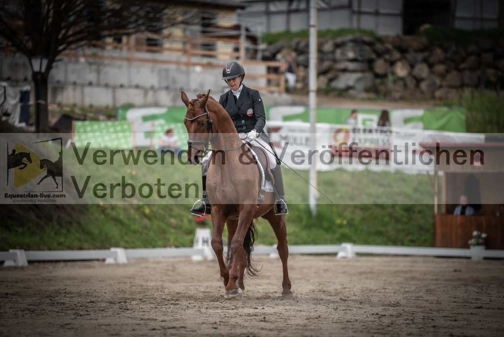 DSC_2622 | equestrian-live-com