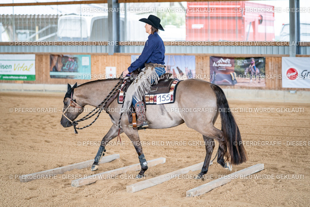 DSC08327 | Pferdegrafie